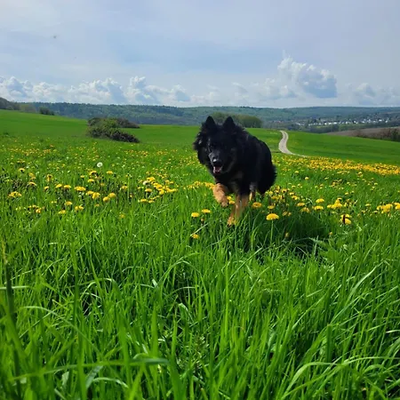 Westerwaldblick Grosszuegige Wohlfuehloase Mit Terrasse Apartamento *
