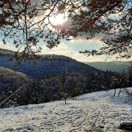 Westerwaldblick Grosszuegige Wohlfuehloase Mit Terrasse Oberelbert