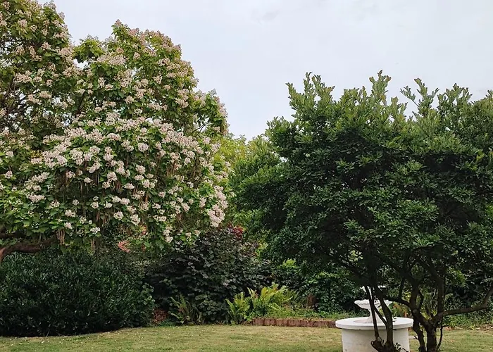 Westerwaldblick Grosszuegige Wohlfuehloase Mit Terrasse * Oberelbert