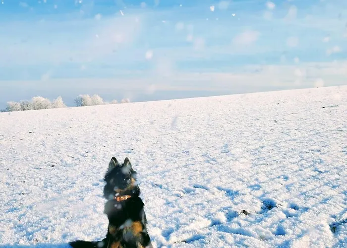 Westerwaldblick Grosszuegige Wohlfuehloase Mit Terrasse Apartment *