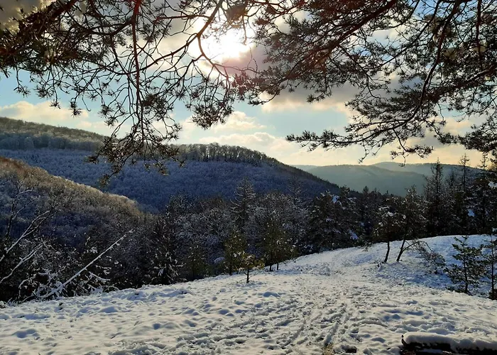 Westerwaldblick Grosszuegige Wohlfuehloase Mit Terrasse Oberelbert